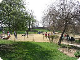 dog park in new york