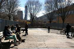dog park in new york