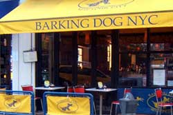 pet friendly restaurant in new york