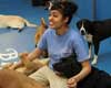 pet daycare in manhattan