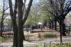 dog park in new york