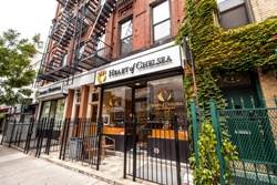 heart of chelsea animal hospital pet friendly new york veterinarian