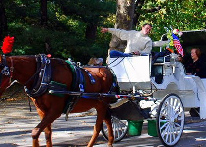 central park horse carriage rides