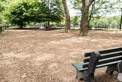 dog park in brooklyn