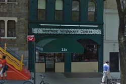 vets in new york 