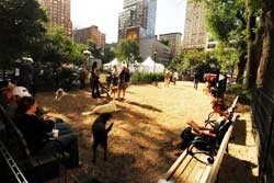 dog park in new york